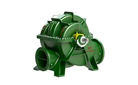 imgi_8_0055_BP